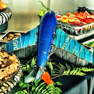 Fun Airplane/ Automobile Themed event