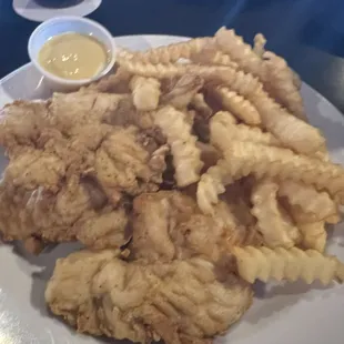 Chicken Tenders
