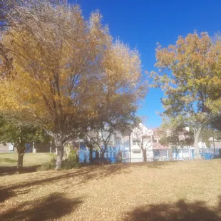 A Pittman Wash Trail view when the trees are Autumn colors. Date: 12/12/2023.