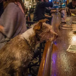 Another round barkeep