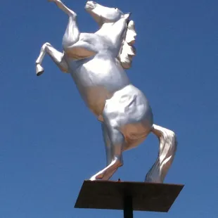 Silver Stallion Club