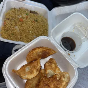 dumpling &amp; combination fried rice