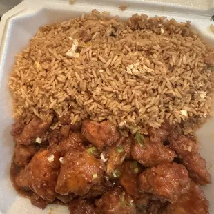 rice and meat in a styrofoam container