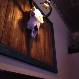 a cow skull mounted on a wall