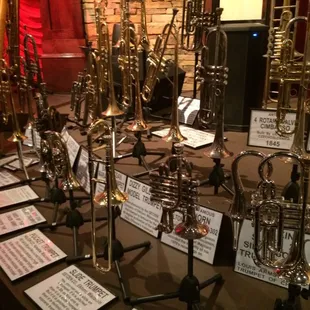 Nice collection of horns