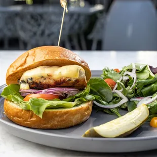 Free-range Chicken Burger with side house salad