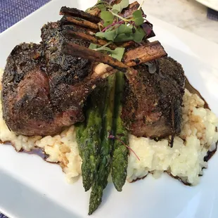 Rack of Lamb