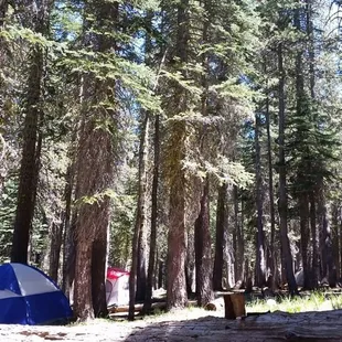 The campground.