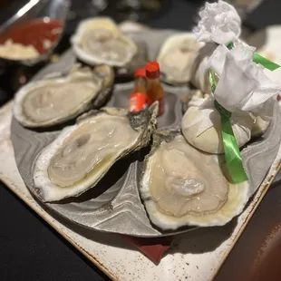 Killer Oysters!!