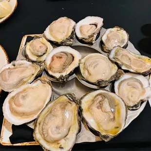 Oysters on the Half Shell*