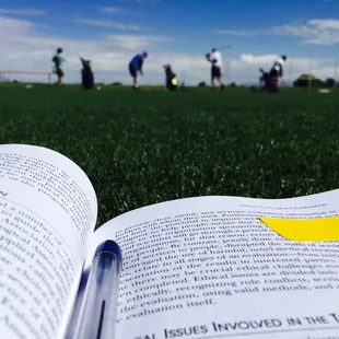 Quiet and sunny means perfect place to study while the dotters at practice. Two birds