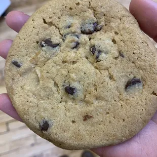 Chocolate Chip Cookie