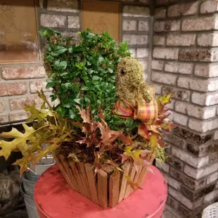 Gobble, gobble. Adorable Turkey topiary.