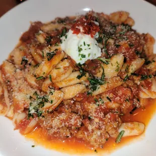 Pork ragout cavatelli