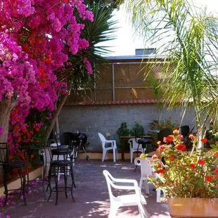 Pic from inside facing NORTH NorthWest corner of the PATIO