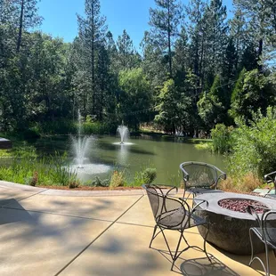Back patio with pond