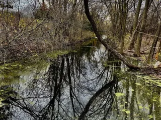 Springbrook Nature Center