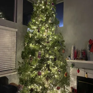 Perfect tree!