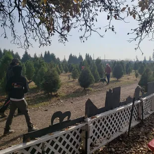 They're open! Had a great day today!