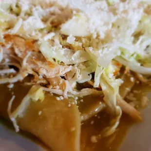 Chicken Enchiladas close up.