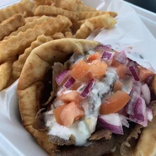 Gyros Sandwich, Fries