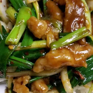 Mongolian Style Beef (Spicy)