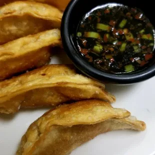 Chicken Pot Stickers