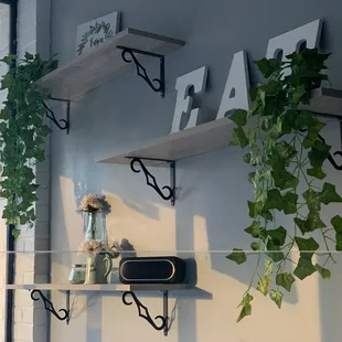 a shelf with plants