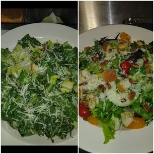 Caesar and Floridan Salads