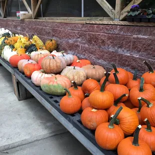 Ready for fall