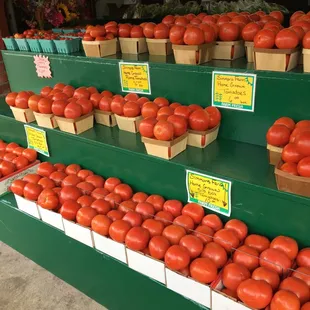 Lots of tomatoes for canning