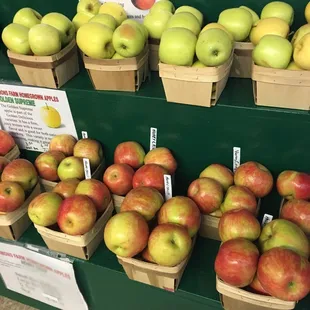 Honey crisp and golden apples
