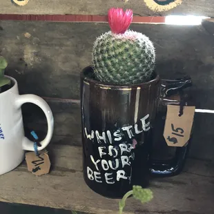 Vintage mug pottings, while supplies last!