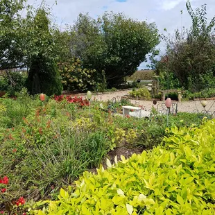 Banquet Hall gardens