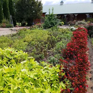 Banquet Hall gardens