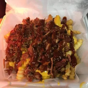 The best brisket fries ever. Loved it I came to Htown me and my kids loved it!!!! I would recommend you try it when you come to Houston Tx