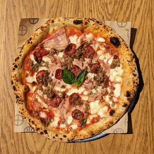 Carnivora