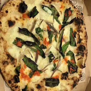 Ramps - limited time only!
