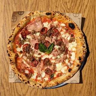 Carnivora