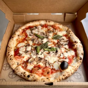Margherita Pizza + Mushroom topping