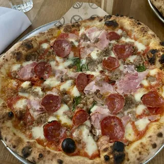 Carnivora