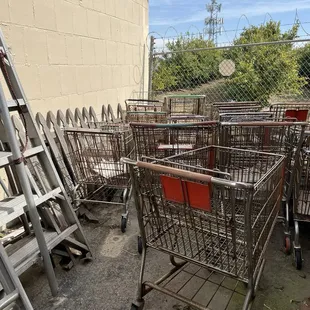 Shopping cart graveyard