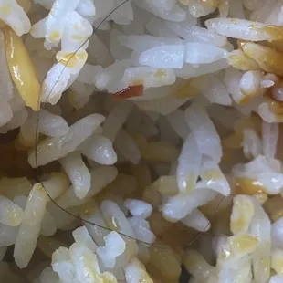 Hair in rice