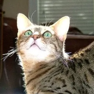 c k.