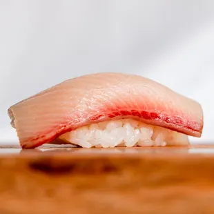 Yellowtail