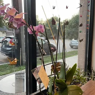 Interior with plants