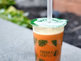 Freshly Leaf -Maple Grove 