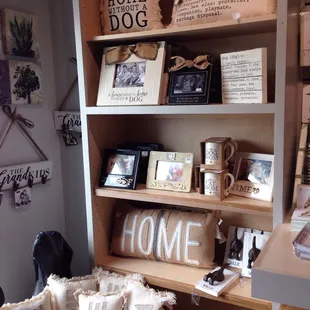 Great selection of dog and cat items.