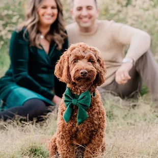 Sacramento, Lodi, Stockton Family photographer