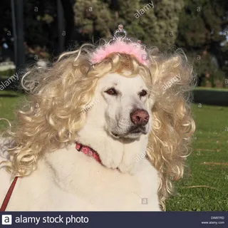 Sophie S.